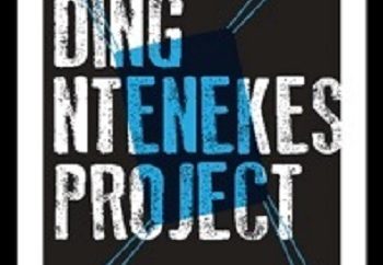The Ding - Ntenekes Project