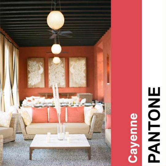 Pantone Color Trends 2014 - Cayenne