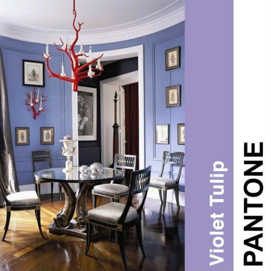 Pantone Color Trends 2014 - Violent Tulip