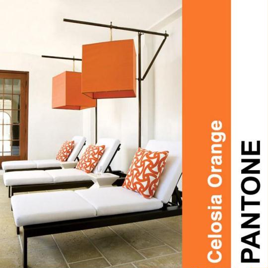 Pantone Color Trends 2014 - Celosia Orange