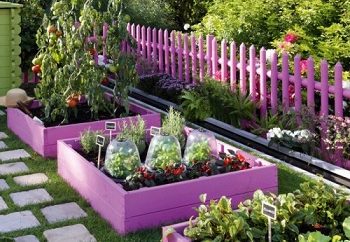 Garden in pink