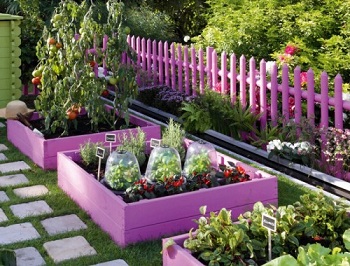 Garden in pink