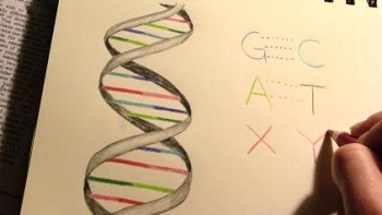 Artificial DNA