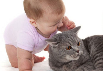Baby with cat