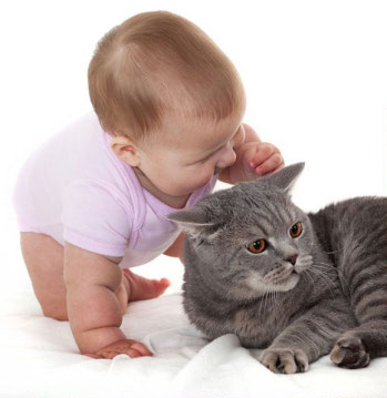 Baby with cat