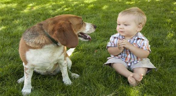 Baby and dog