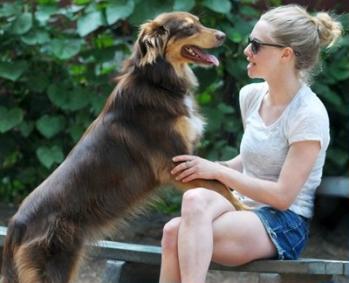 Amanda Seyfried and dog