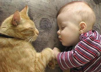 Γάτα και μωρό