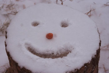 Snow smiley