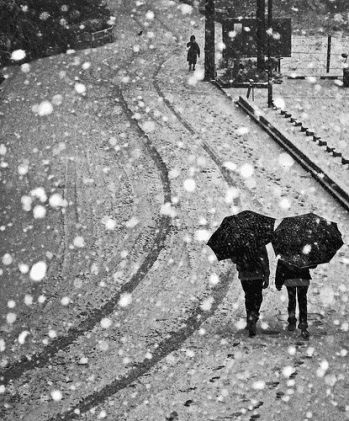 Snow - Umbrellas