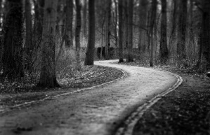 Path in the woods