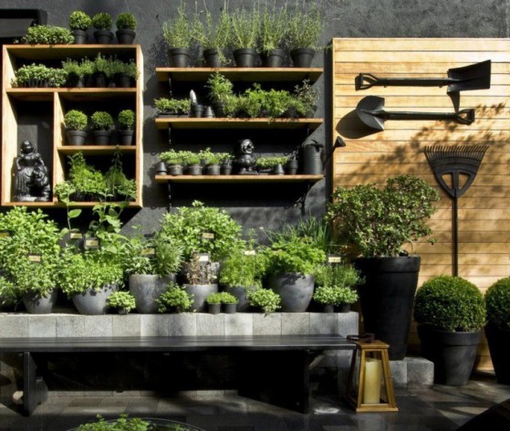 Garden trends 2015 - d