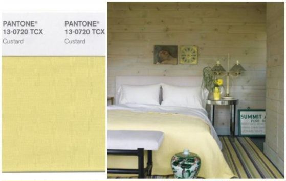 Pantone - Custard