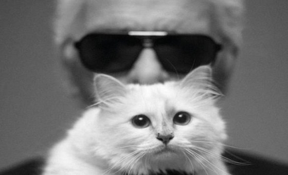 Karl Lagerfeld and Choupette 4