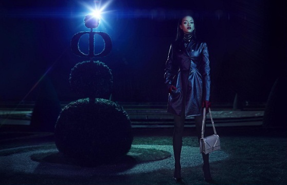 Rihanna for Dior 5