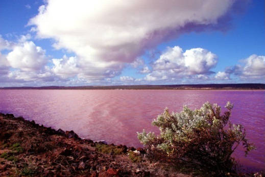 Hutt Lagoon, Αυστραλία