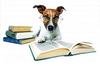 Σκύλος και βιβλία
