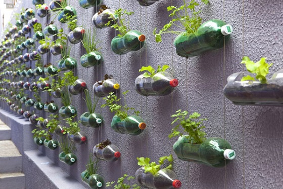 Κήπος με πλαστικά μπουκάλια 1