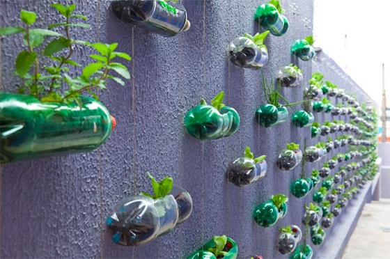 Κήπος με πλαστικά μπουκάλια 7