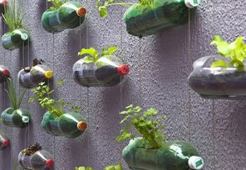 Κήπος με πλαστικά μπουκάλια