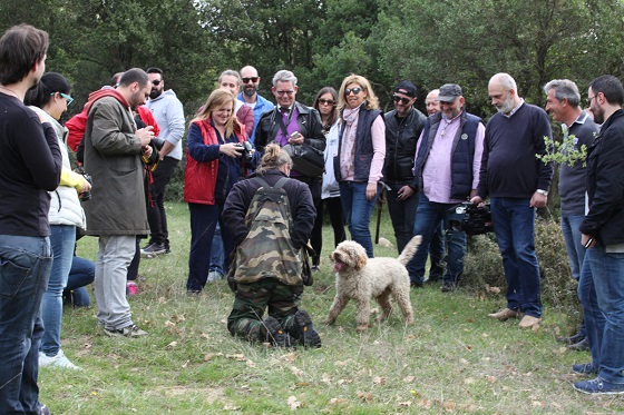 Κυνήγι τρούφας 3