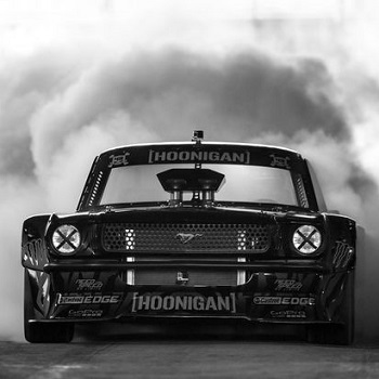 Hoonicorn