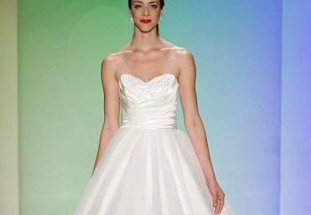 Disney Fairy Tale wedding dress