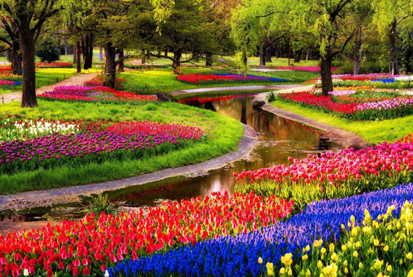 Keukenhof 1