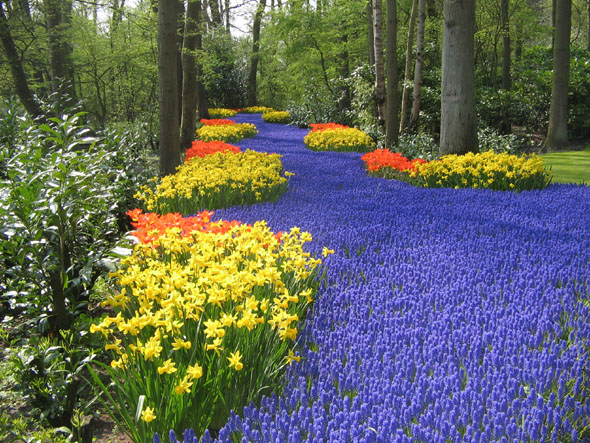 Keukenhof 4