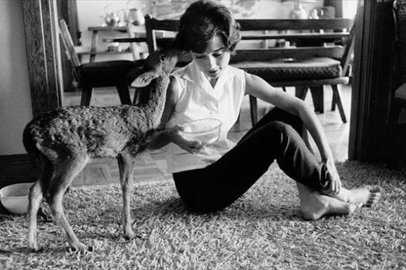 Audrey Hepburn και ελάφι