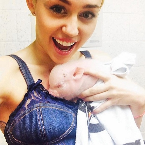 Miley Cyrus και γουρουνάκι