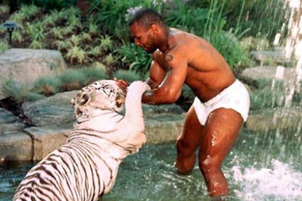 Mike Tyson και τίγρης