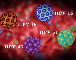 HPV 2