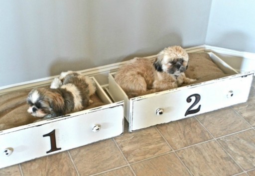 DIY κρεβατάκια σκύλων 6