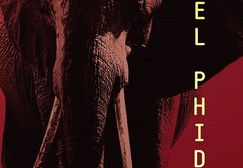 Ο ελέφαντας του HOTEL PHIDIAS