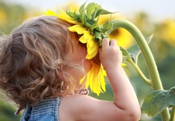 Child with sunflower