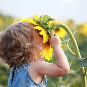 Child with sunflower