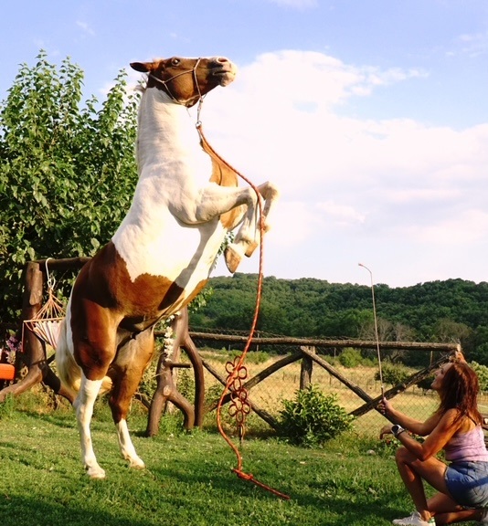 Lina’s Horse Paradise ιππασία Καλαμπάκα Μετέωρα Τρίκαλα
