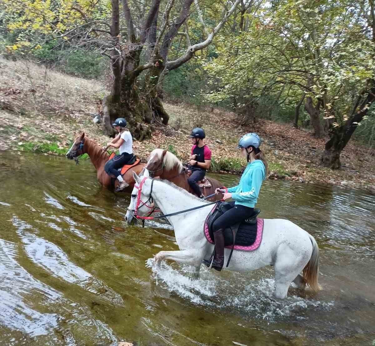 Lina’s Horse Paradise ιππασία Καλαμπάκα Μετέωρα Τρίκαλα